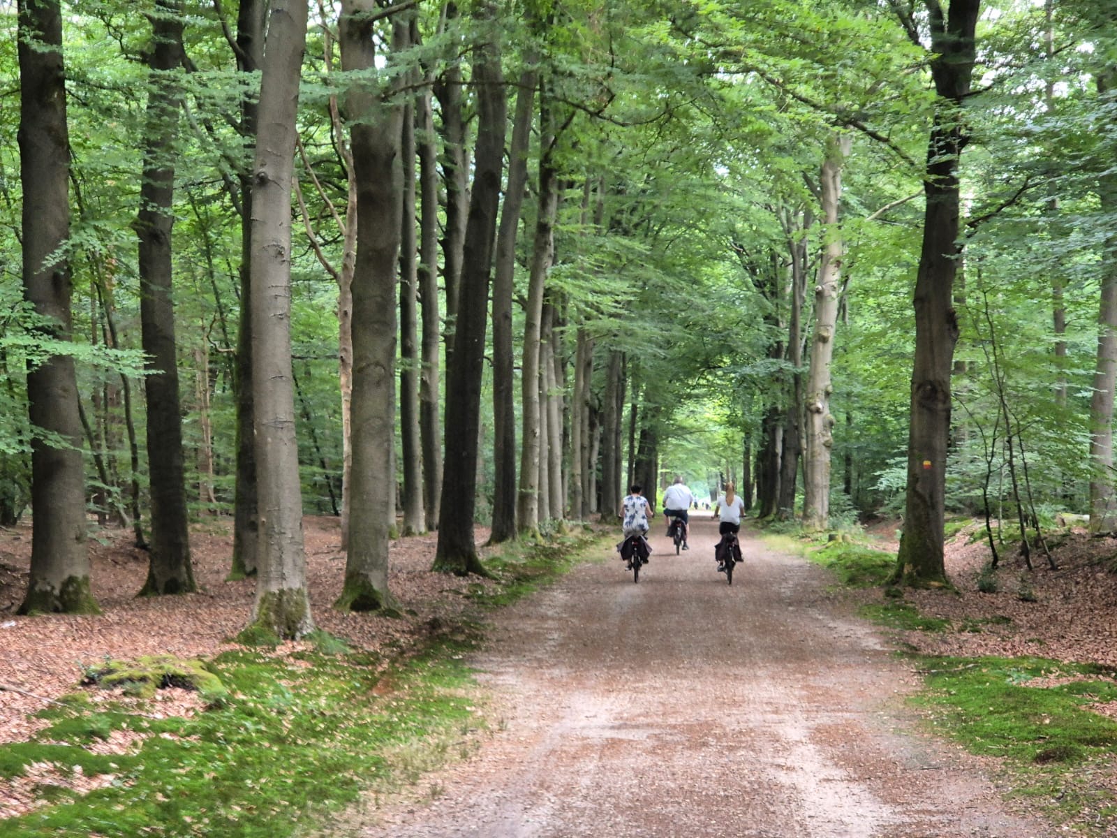 Happen en Trappen in Uddel en Garderen: een smakelijk én sportief succes