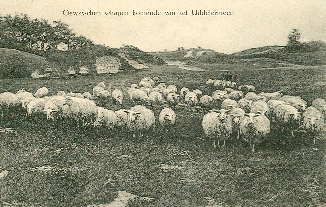 Expositie: Atlas van Apeldoorn – Uddel